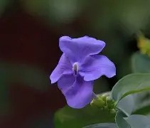 九游会官方app -江协科大stm32资料下载官方正版